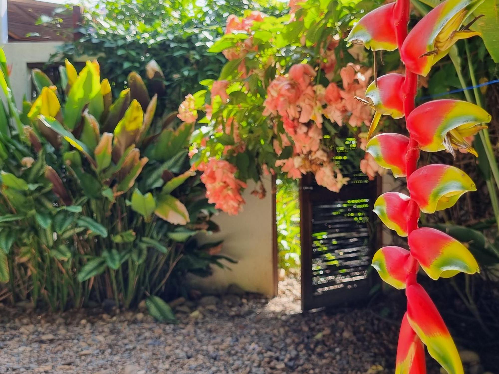 Casas La Floristeria Villa Palomino Kültér fotó